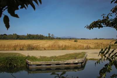 Temps de la moisson en Alsace